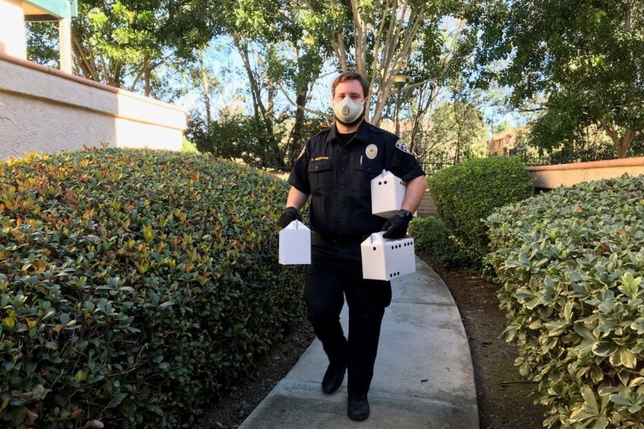 Pássaros retirados de casa onde estavam presos mais de 80 aves