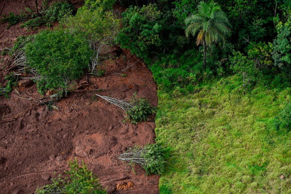 Pessoas e animais entre rios de lama causados pela rutura de barragem no Brasil