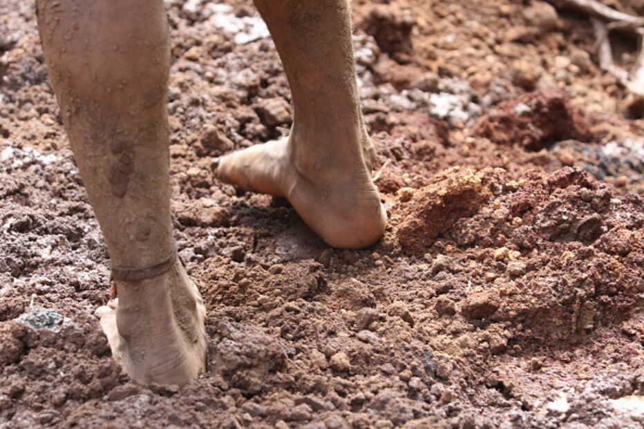 Pessoas e animais entre rios de lama causados pela rutura de barragem no Brasil