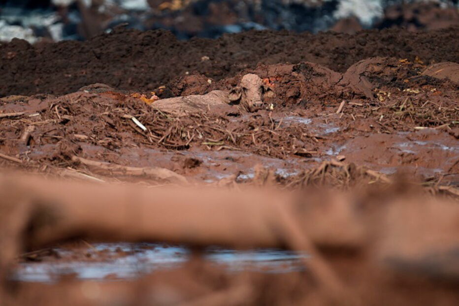 Pessoas e animais entre rios de lama causados pela rutura de barragem no Brasil