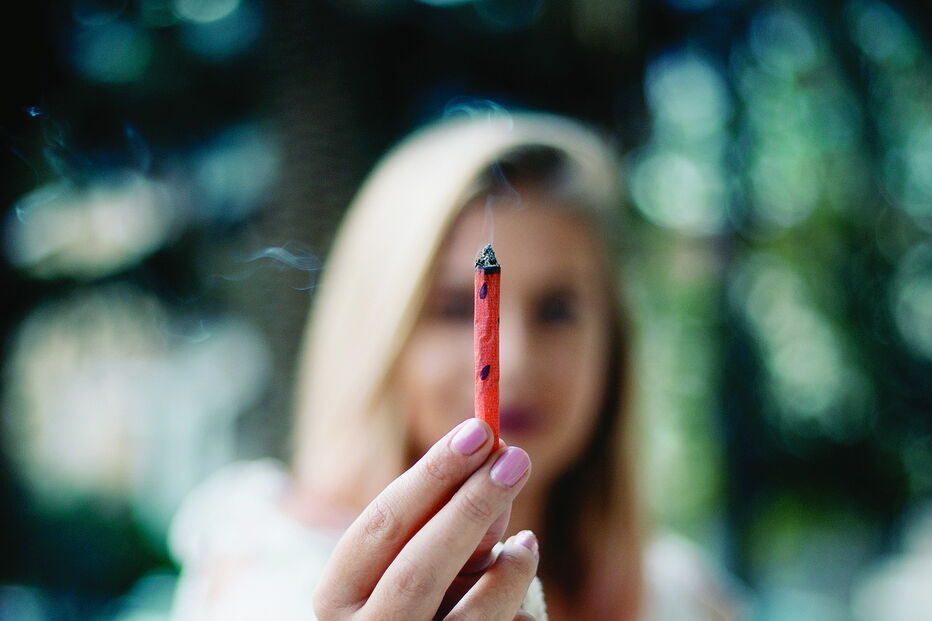 Meio milhão de portugueses consome regularmente canábis