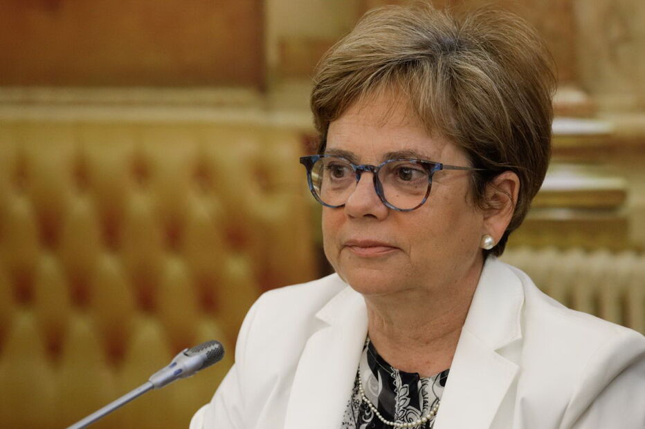 Provedora de Justiça, Maria Lúcia Amaral