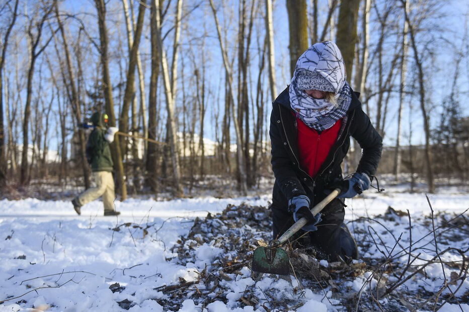 Onda de frio extremo 'congela' Estados Unidos 
