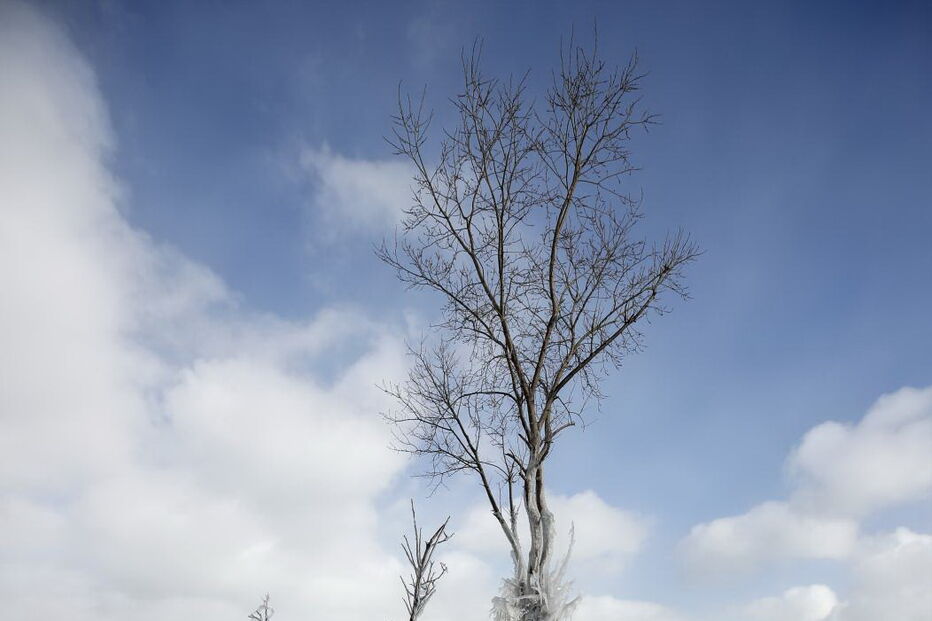 Onda de frio extremo 'congela' Estados Unidos 