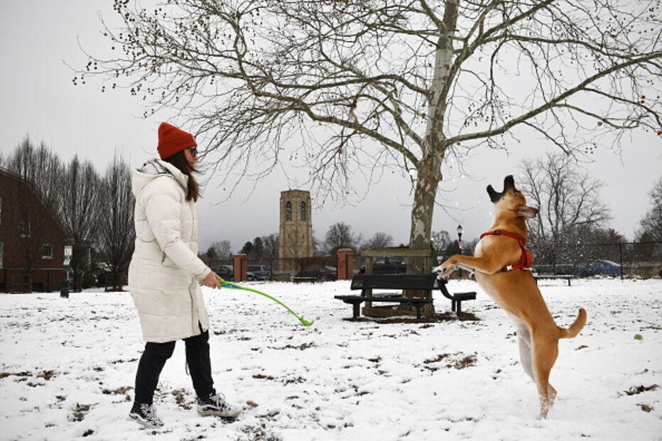 Temperaturas negativas deixam Estados Unidos da América pintados de branco