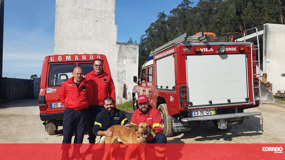 Bombeiros de Vila do Conde resgatam cão de escarpa Portugal Correio