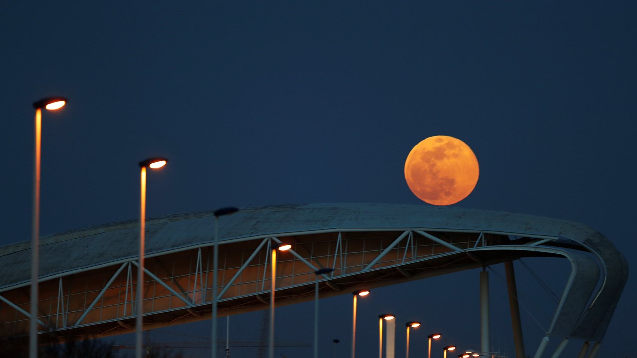 Superlua azul pode ser vista esta noite. Fenómeno raro também será visível  em Portugal