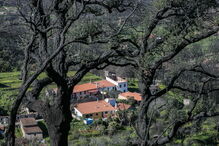 Maria e Vitorino perderam a casa nos incêndios de Monchique e ainda estão sem teto
