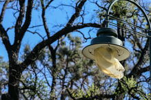 Maria e Vitorino perderam a casa nos incêndios de Monchique e ainda estão sem teto