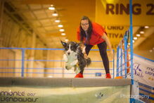 PAN diz que condições de animais selvagens no PET Festival violam lei, organização nega