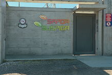 Incêndio em suinicultura no Cartaxo matou 75 porcas e 1100 leitões