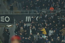 2019-02-03_20_55_10 PAL21407.JPG