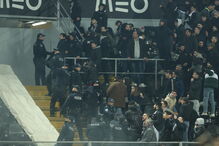 2019-02-03_20_55_18 PAL21420.JPG