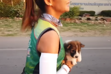 Carrega cachorro perdido e faz maratona a dois