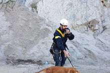 Bombeiros resgatam cão de escarpa