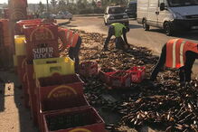 Camião derrama grades de cervejas junto a rotunda em Albergaria-a-Velha