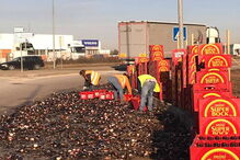 Camião derrama grades de cervejas junto a rotunda em Albergaria-a-Velha