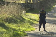 Mulher atingida a tiro na cabeça por ex-marido em Nelas após agressões mútuas