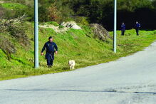 GNR esteve no terreno com recurso a cães à procura da arma usada no crime