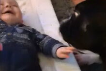 Um cão é o melhor amigo de... um bebé