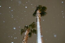 Imagens de neve em Las Vegas levam redes sociais à loucura