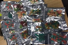 Homem detido após tentar vender droga em formato de doces