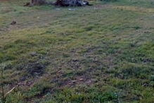 Acidente em Aljustrel