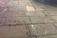 Três jovens esfaqueados à porta de discoteca no centro de Londres