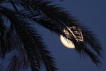 Superlua em Nicósia, Chipre