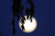 Superlua em Nicósia, Chipre