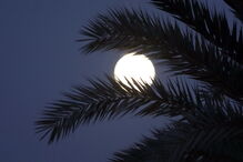 Superlua em Nicósia, Chipre