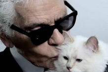  Karl Lagerfeld e Choupette