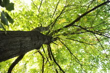 Serra da Gardunha, Fundão