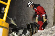 Emigrante português morre em desabamento de túnel em França