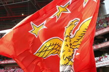 2019-02-21_11_25_08 16744227.JPG