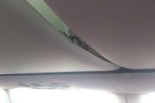 Escorpião causa pânico a passageiros em avião
