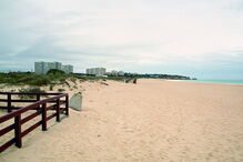 Encontrado na praia de Alvor 