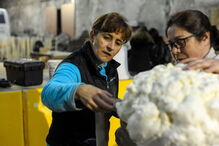 Carnaval de Pataias em Acobaça aposta na animação