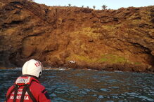 Mulher morre após despiste e queda de falésia na Madeira