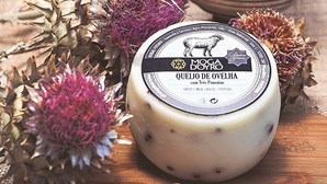 Conheça a mais recente marca de queijos Mogadoyro