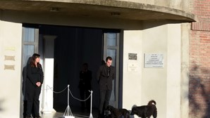 Cadela de Sala recusa-se a deixar a porta da capela durante velório