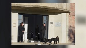 Cadela de Emiliano Sala recusa-se a deixar a porta da capela durante velório