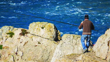 Pesca da sardinha reabre hoje após quase cinco meses encerrada