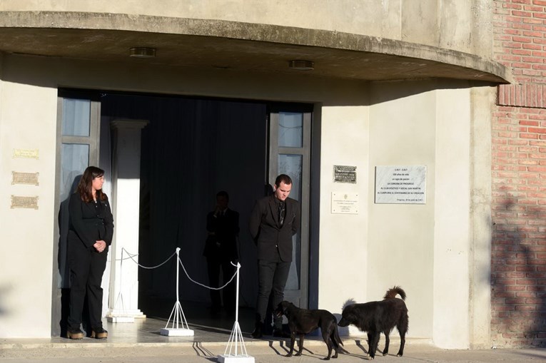 Cadela de Emiliano Sala recusa-se a deixar a porta da capela durante velório