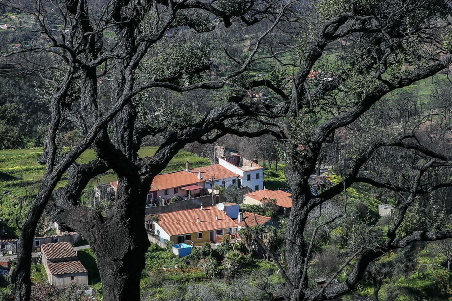 Maria e Vitorino perderam a casa nos incêndios de Monchique e ainda estão sem teto
