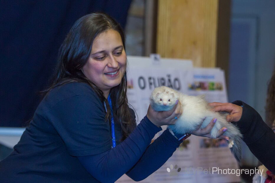 PAN diz que condições de animais selvagens no PET Festival violam lei, organização nega