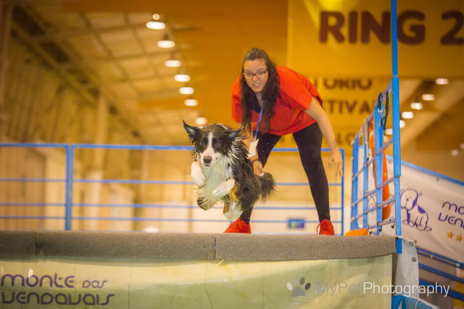 PAN diz que condições de animais selvagens no PET Festival violam lei, organização nega