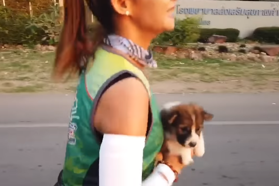 Carrega cachorro perdido e faz maratona a dois