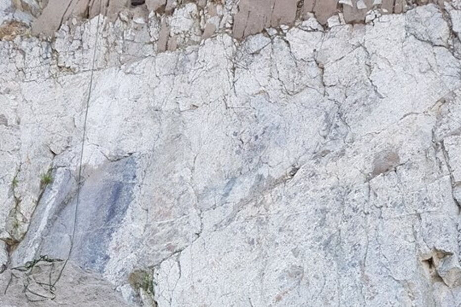 Bombeiros resgatam cão de escarpa