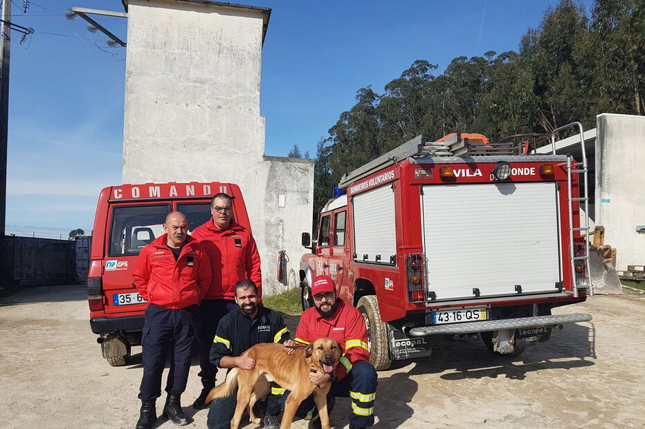 Bombeiros resgatam cão de escarpa
